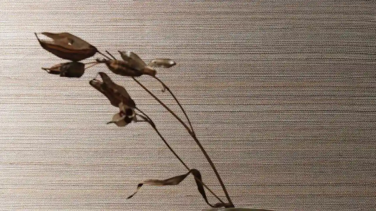tapete casamance sisalana 03