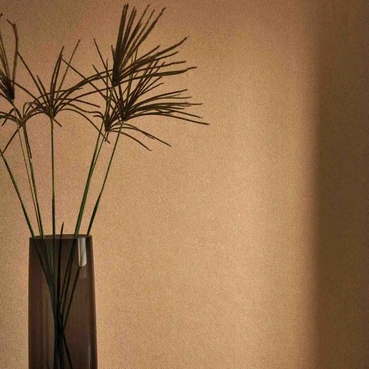 tapete texdecor vinacoustic dune 05